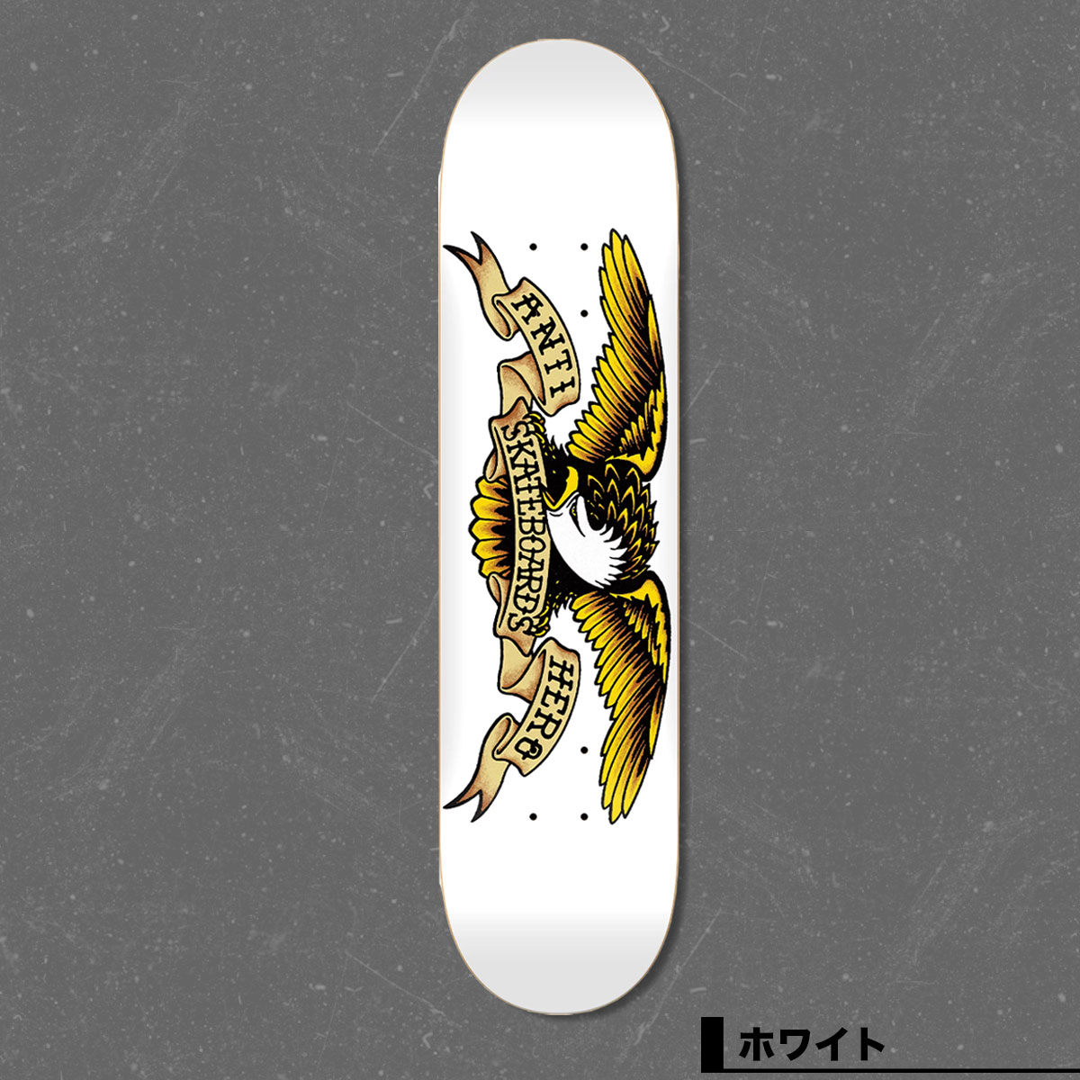 ANTIHERO SKATEBOARDS | CLASSIC EAGLE��10020ZZ053��