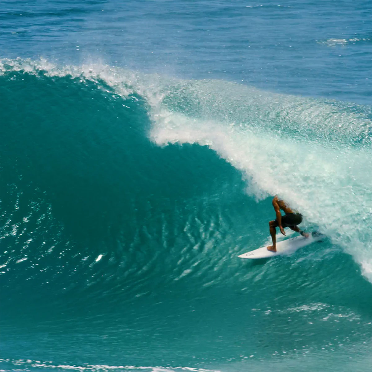 ENDORFINS ��������ե��� �ե��� 5�ե��� KSR 5FIN  �����եե��� Ķ���� fin ���꡼���졼���� �����եܡ��� | KELLY SLATER Endorfins KSR Fin Set��FKSR-L-5-RAK��