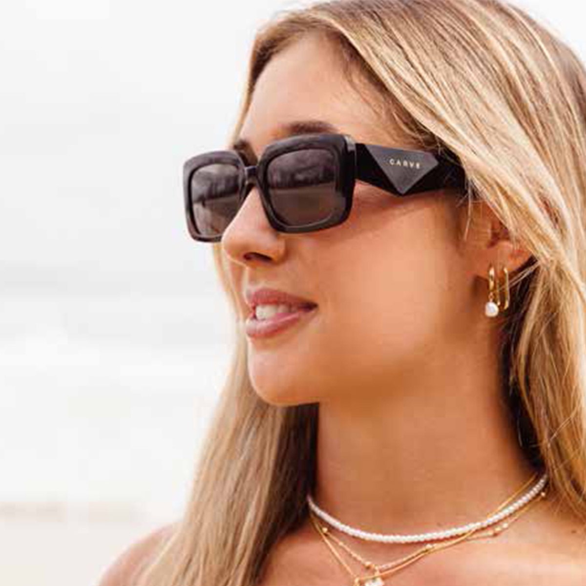 ������ �������� CARVE ���󥰥饹 �饰����2 ��� ��ǥ����� ������� ��ʪ �����ե��� ���ȥ꡼�� �� �ס��� �͵��֥��� | LAGUNA II��36117��