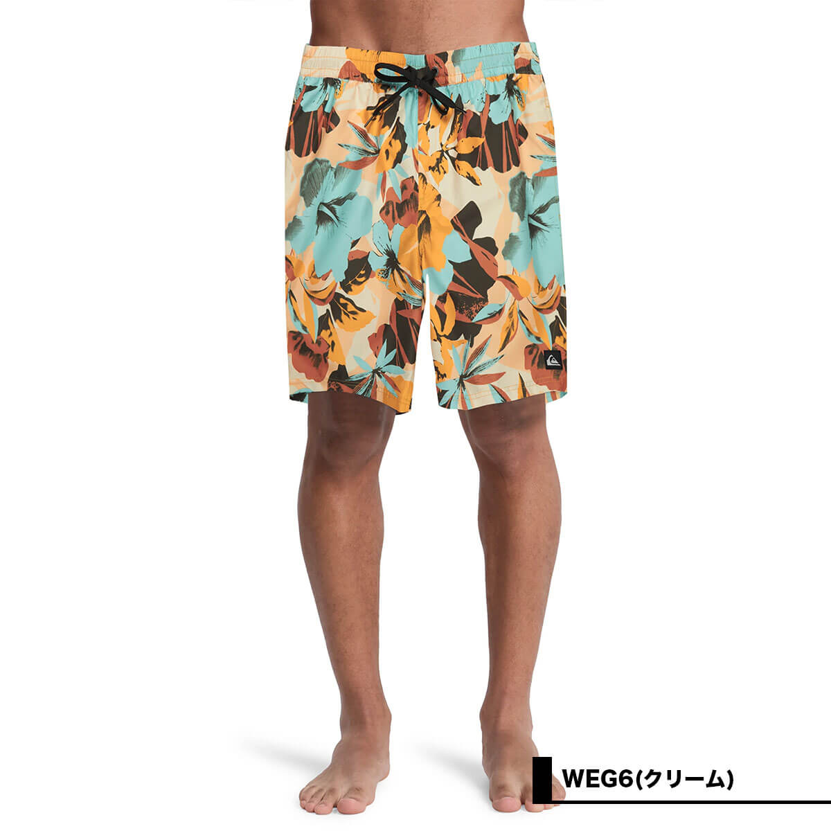 QUIKSILVER | EVERYDAY PRINTED VOLLEY 19��EQYJV04223��