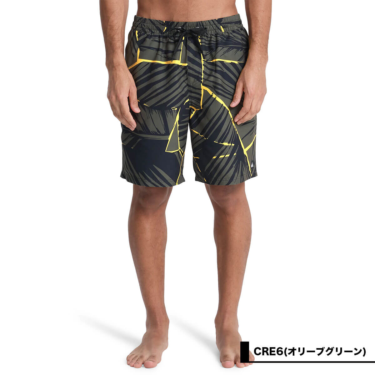 QUIKSILVER | EVERYDAY PRINTED VOLLEY 19��EQYJV04223��
