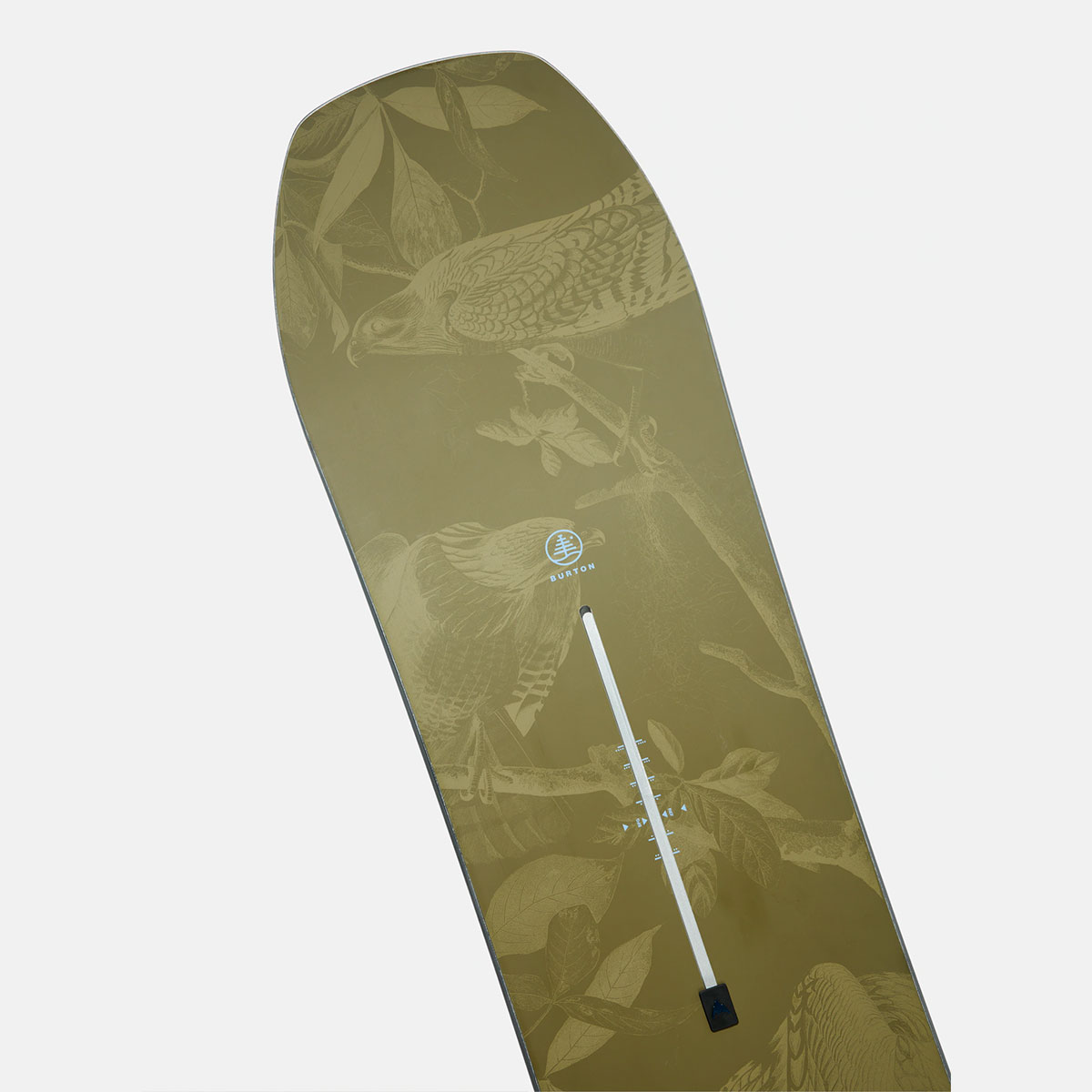 �ڥ��Ρ��������BURTON �С��ȥ� ���Ρ��ܡ��� �� �ե��ߥ꡼�ĥ꡼ �ۡ��ॿ����ҡ����� �����С� 156cm ���Υܡ� �͵� �֥��� ���� | Family Tree Hometown Hero Camber��W26JP-222451��