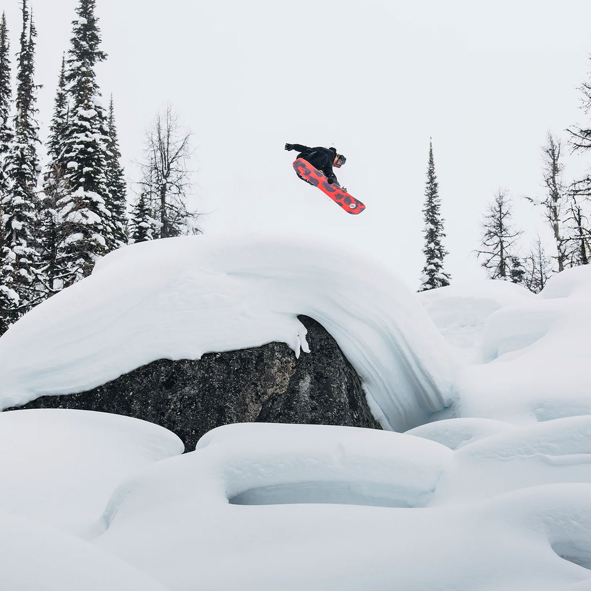 �ڥ��Ρ��������BURTON �С��ȥ� ���Ρ��ܡ��� �� �ե��ߥ꡼�ĥ꡼ �ۡ��ॿ����ҡ����� �����С� 156cm ���Υܡ� �͵� �֥��� ���� | Family Tree Hometown Hero Camber��W26JP-222451��