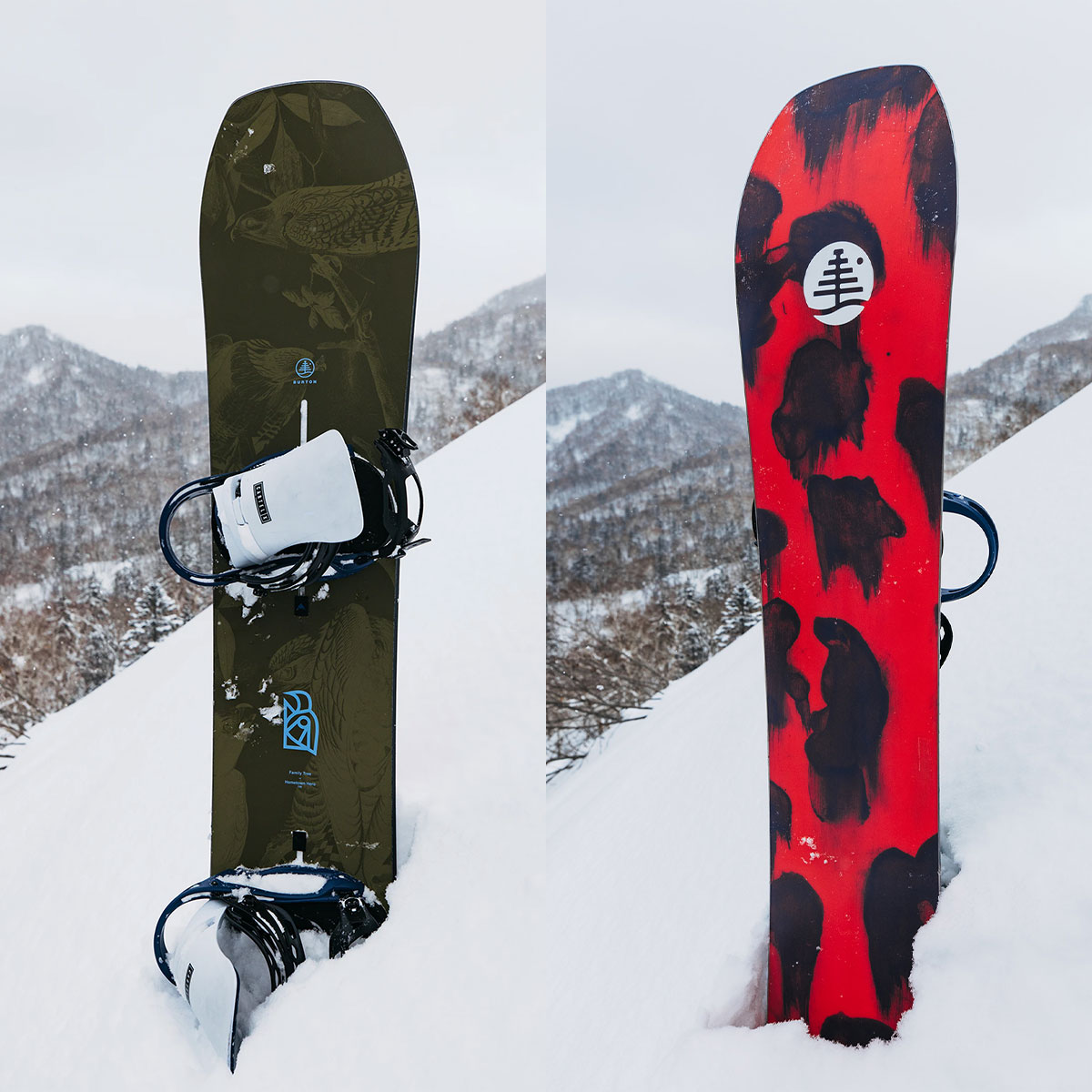 �ڥ��Ρ��������BURTON �С��ȥ� ���Ρ��ܡ��� �� �ե��ߥ꡼�ĥ꡼ �ۡ��ॿ����ҡ����� �����С� 156cm ���Υܡ� �͵� �֥��� ���� | Family Tree Hometown Hero Camber��W26JP-222451��