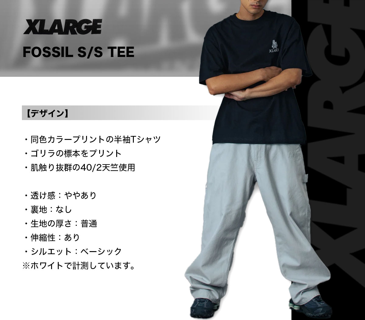 XLARGE | FOSSIL S/S TEE��101261011019��