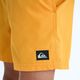 QUIKSILVER | EVERYDAY VOLLEY YTH 14��EQBJV03543��