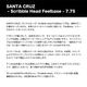 SANTA CRUZ  | SCRIBBLE HEAD 7.75 FEELBASE 7.75 inc��11117614-164957��