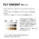 BLACK FLYS  | FLY VINCENT(PHOTOCHROMIC LENS)��BF-1706��