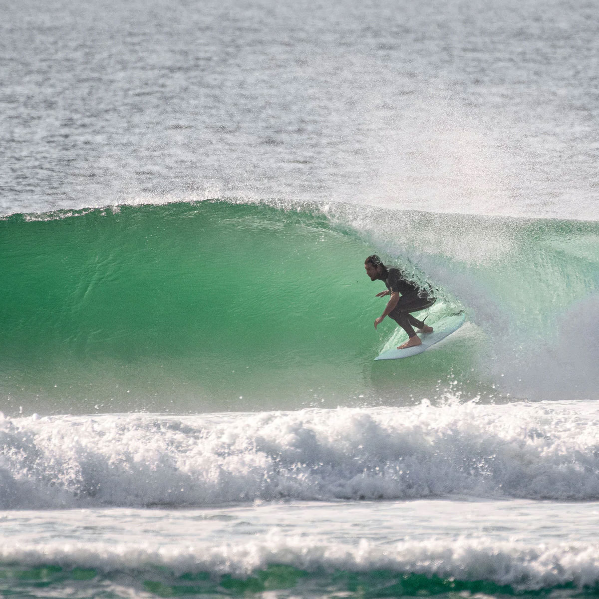 �ڥ��ꥹ�ޥ��������FCS2 ���ե�������2 �ե��� fin �����եܡ��� �����ե��� �ȥ饤�����åɥե��� �ߥåɥ�󥰥� | TRI-QUAD FIN SET��FHAR-PC03-LG-FS-R��