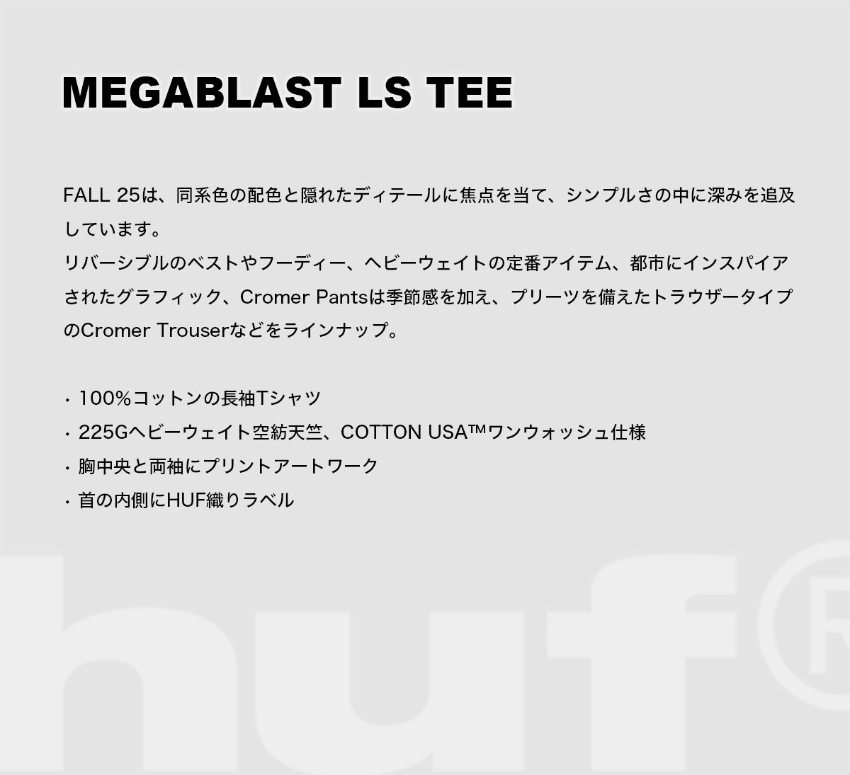 �ڿ��ե������HUF �ϥ� ����T ĹµT����� �ȥåץ� ��� ��ǥ����� µ �ӥå����� �� �� ��2�� M L �������ȥܡ��� ���������� �͵��֥��� ���� ���� 2025��TS02508��