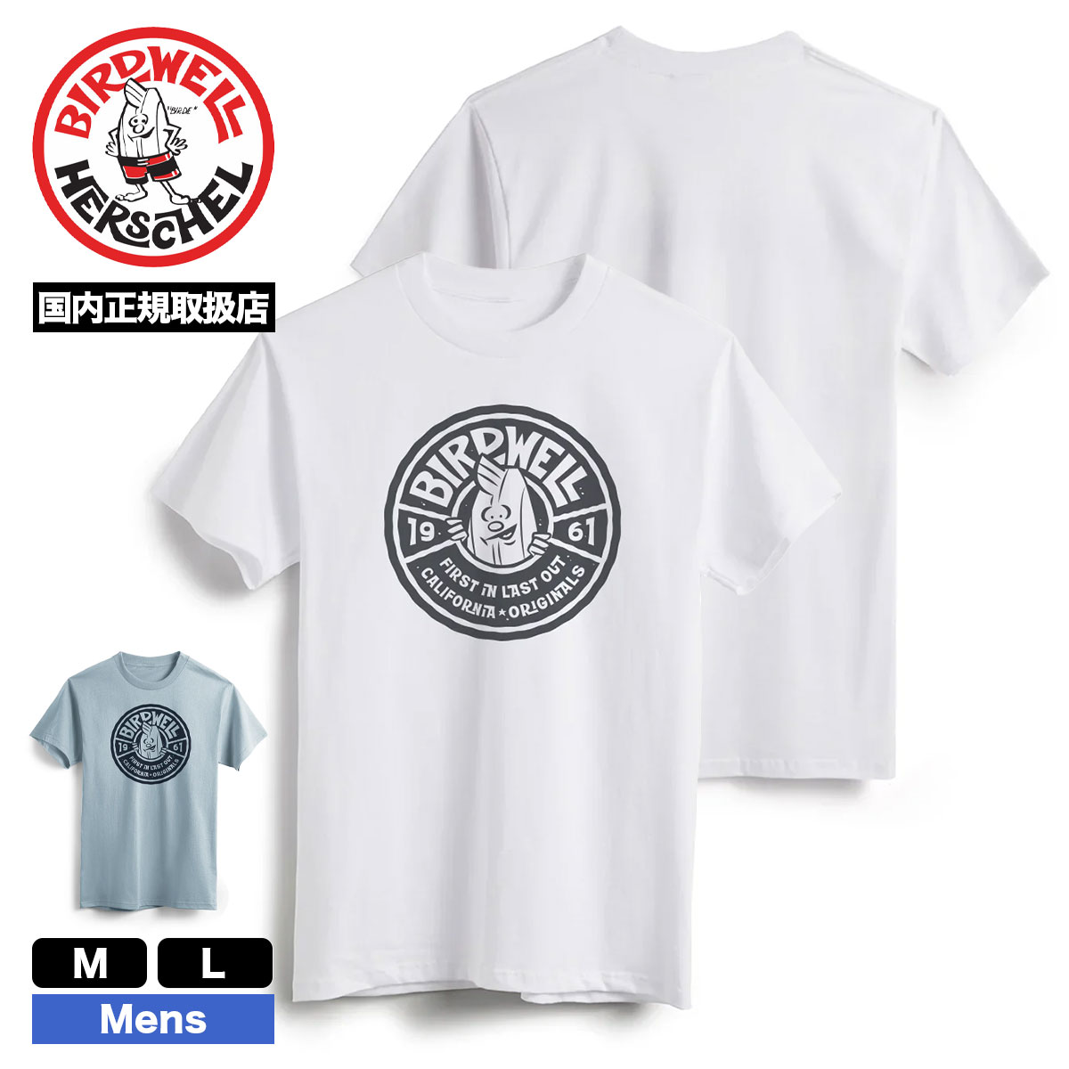 ڥBIRDWELL Сɥ  Ⱦµ T  쥮顼եå 2 M L ͵֥  2025  | WAX ON WAX OFF T1TS1-1134