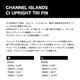 �����ͥ륢������ �ȥ饤�ե��� M L �ե塼���㡼 ����ͥ륢����� �����եܡ��� Channel Islands Surfboards  |  CI UPRIGHT 3FINS��1100020251��