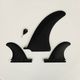 FREE AND WAVE | RACER 6'8��FW0053�ۡ�PU��