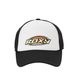 ROXY  | SURF SOUL CAP��RCP262304��