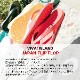 ۥӡ  ǥ ӥХ   ͵ Ķ ֥ ¤  饤ȥ֥롼 | VIVA ISLAND JAPAN FLIP FLOPV-821114