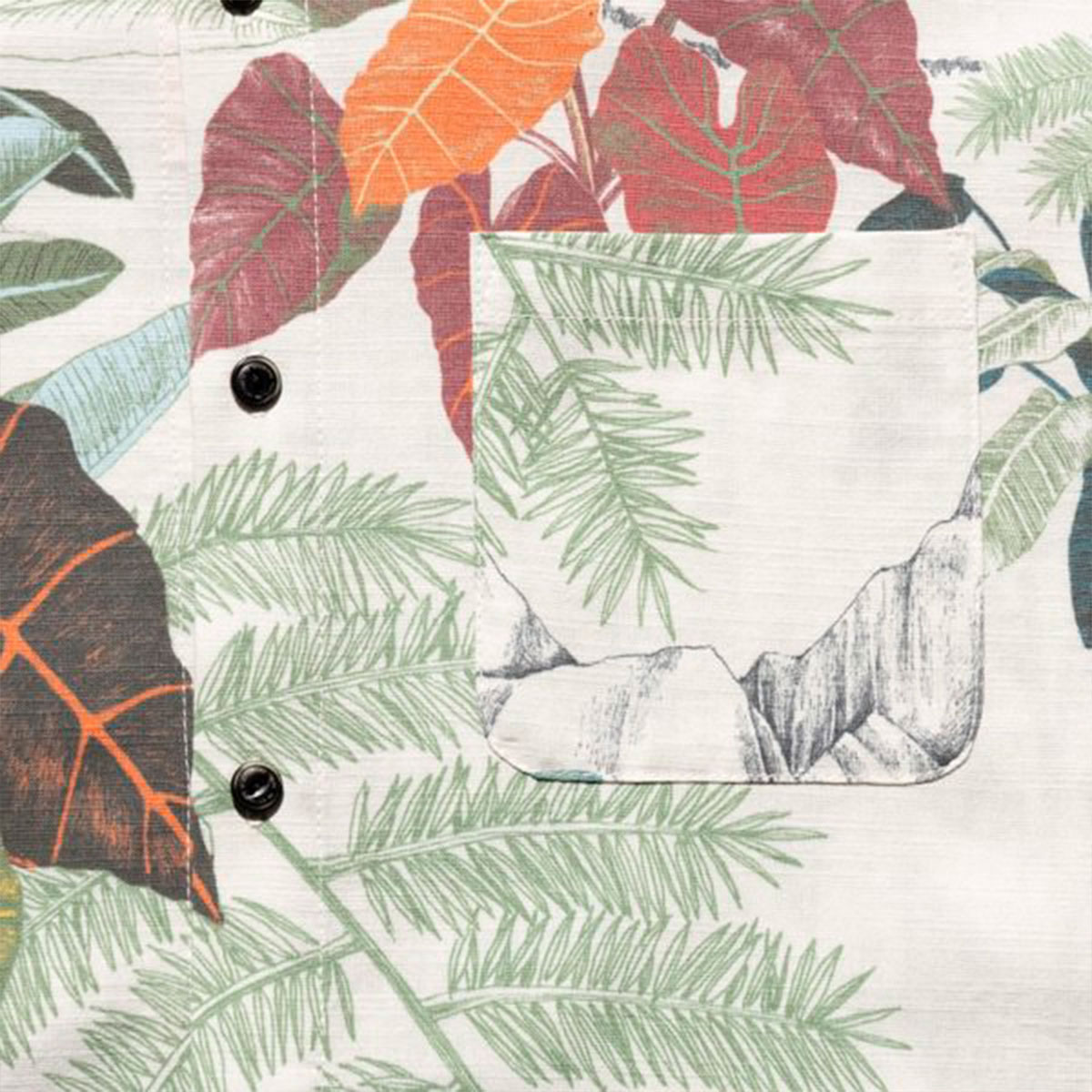 ROARK REVIVAL | "SCHOLAR LAKE VIAHIRIA" JOURNEY S/S��RWJ1223��
