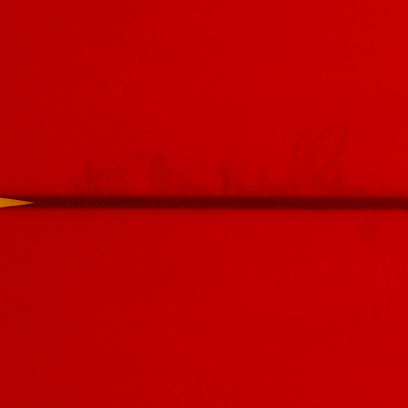 40%OFF ޡMichael Takayama surfboards ޥ륿 եܡ ե 󥰥ܡ 󥰥ե RED ѡץ쥯 åɥ 9.6 | PERPLEXERmt06 (JACK)