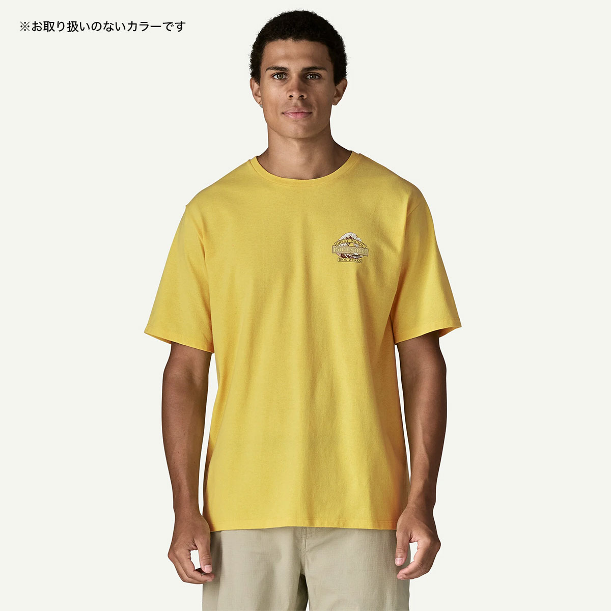 Patagonia  | Men's Great Waves Responsibili-Tee��37873��