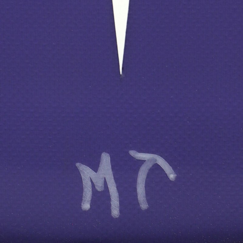 40%OFF Michael Takayama surfboards ޥ륿 եܡ ߥå ե ߥåɥ󥰥 եܡ 󥰥ե surfboard EGG PURPLE å ѡץ륵 7.2mt12 