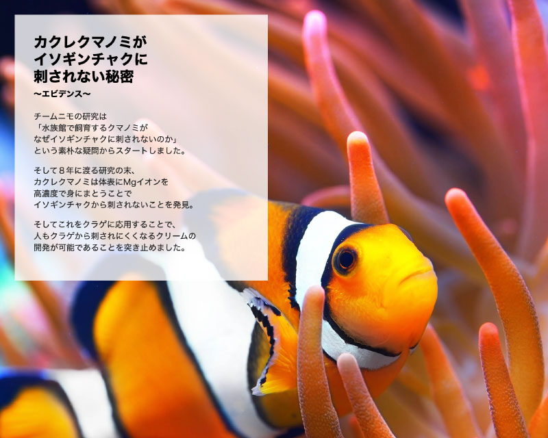 ���饲�� JELLYS GUARD ���Ƥ��ߤ� ���꡼�� ���� ͽ�� SPF50+ UV���å� ���ȥ饹�ι��50ml �� �����ե��� �ޥ�󥹥ݡ��� SUN SCREEN PLUS��163801��