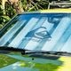 Quiksilver | MW SUNSHADE��QSA262702��