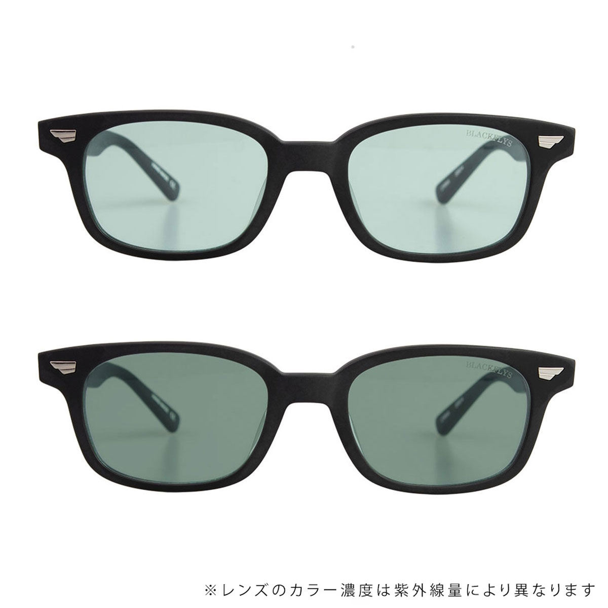 BLACK FLYS  | FLY SLAMMER(PHOTOCHROMIC LENS)��BF-1318��