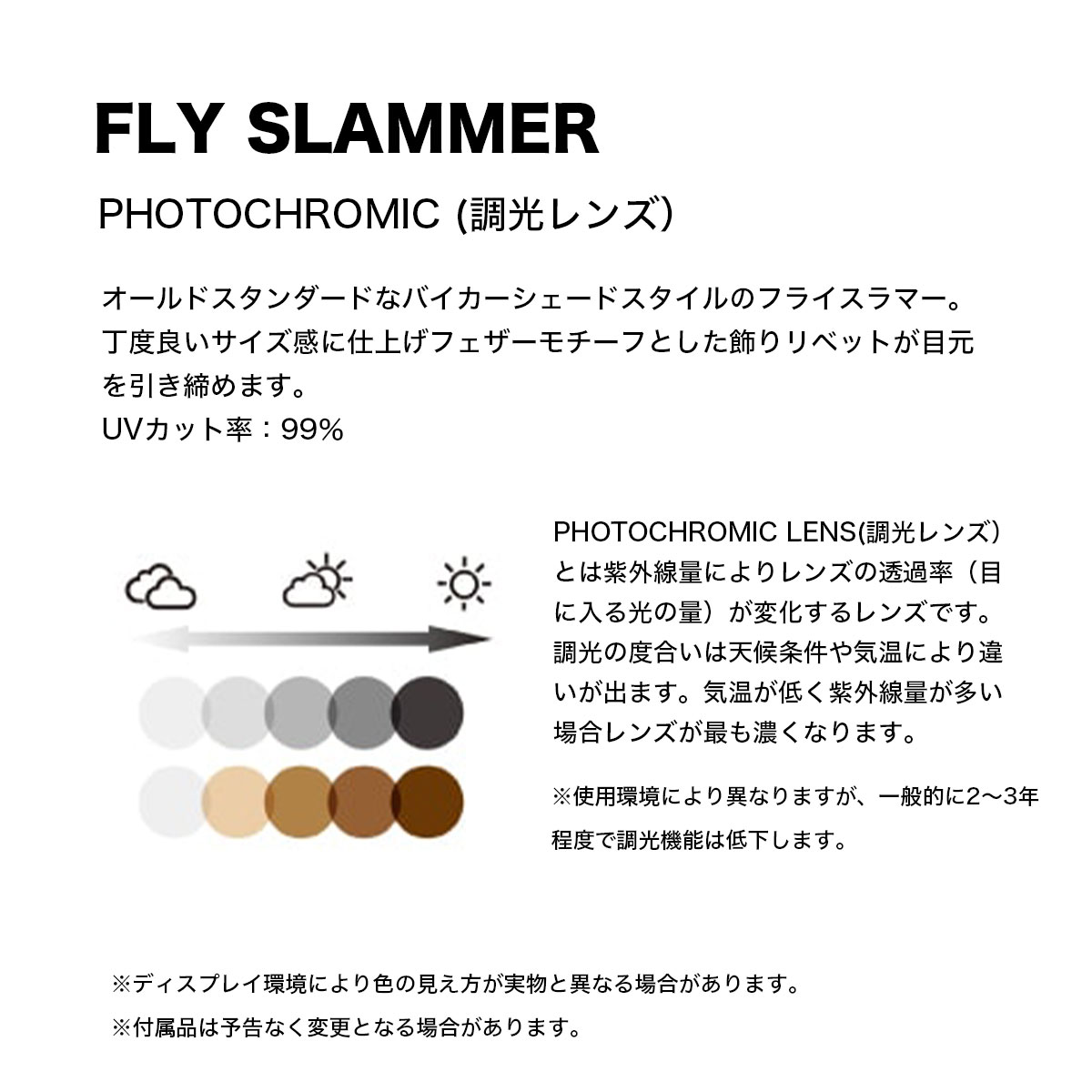 BLACK FLYS  | FLY SLAMMER(PHOTOCHROMIC LENS)��BF-1318��