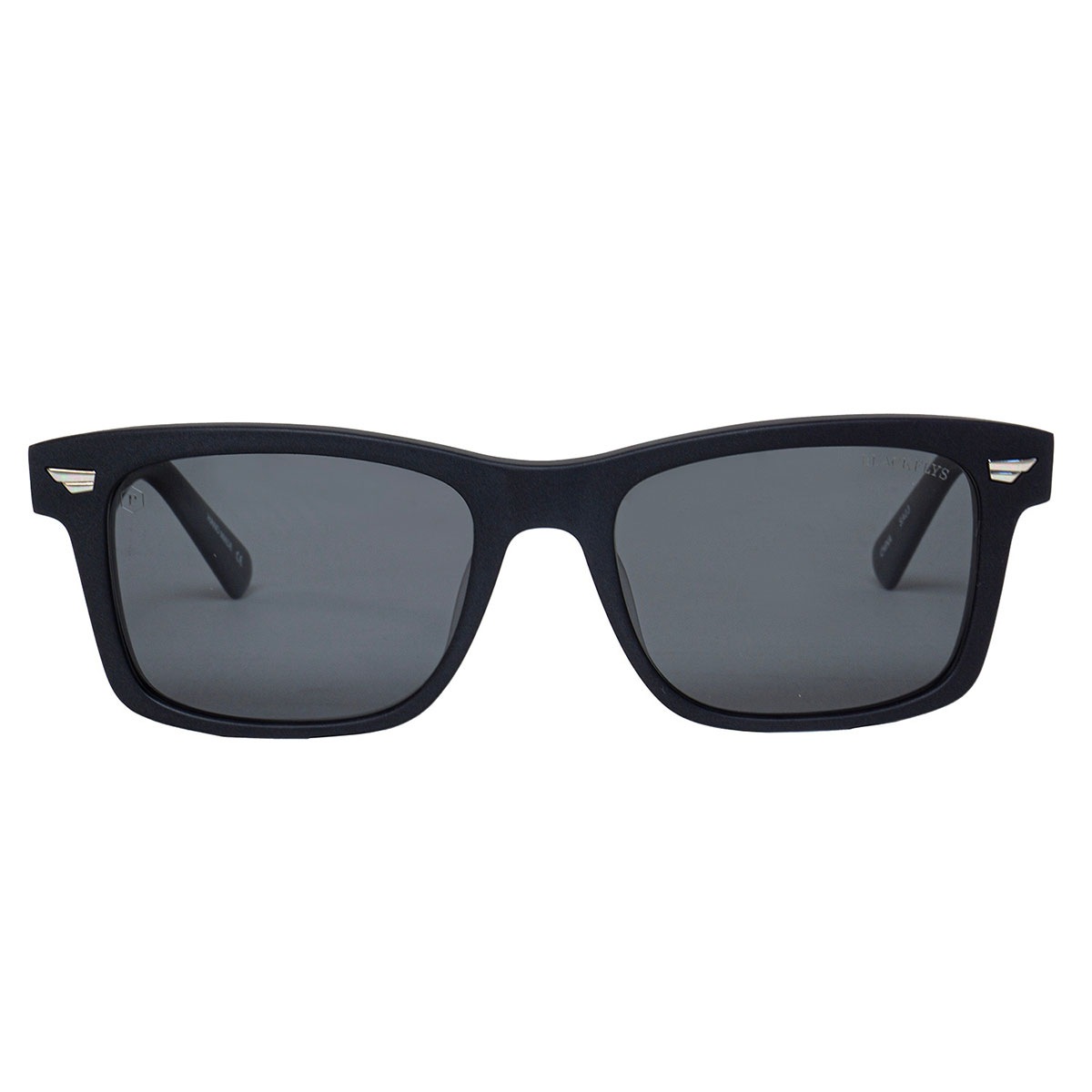 BLACK FLYS �֥�å��ե饤 ���󥰥饹 �ե饤�ǥ��ȥ� �и���� 99% UVCUT �� �����ե��� �ץ쥼��� �͵� �֥��� ���� 2026 ���� | FLY DAYTONA(POL)��BF-1233��
