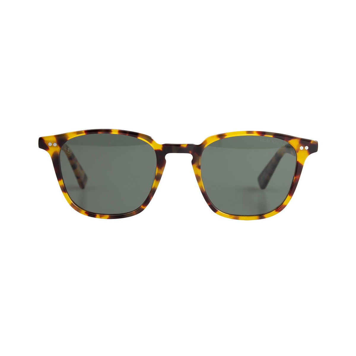 BLACK FLYS  | FLY SILAS(POLARIZED LENS)��BF-14510��