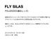 BLACK FLYS  | FLY SILAS(POLARIZED LENS)��BF-14510��