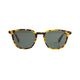 BLACK FLYS  | FLY SILAS(POLARIZED LENS)��BF-14510��