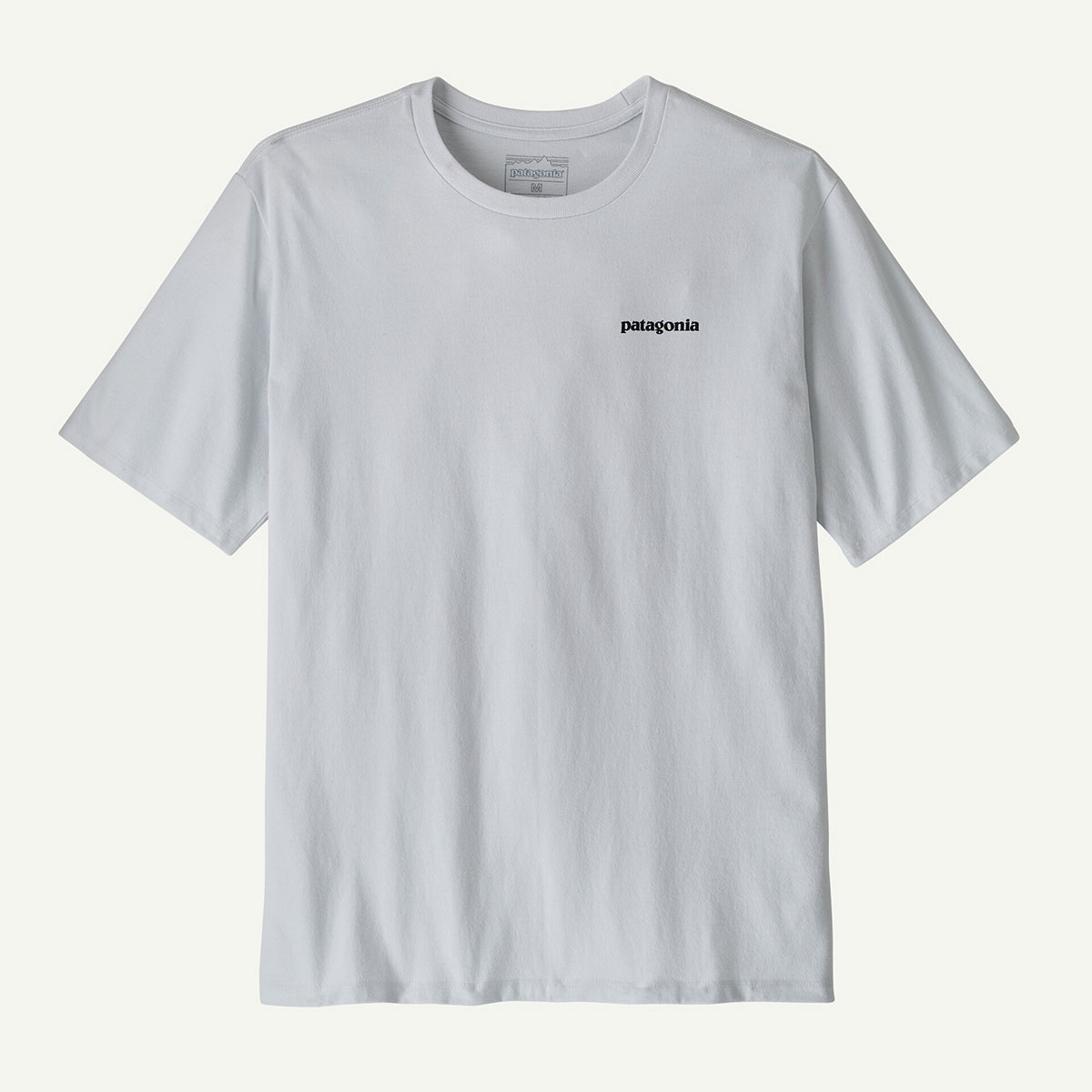 Patagonia  | Men's Take a Stand Responsibili-Tee��37591��
