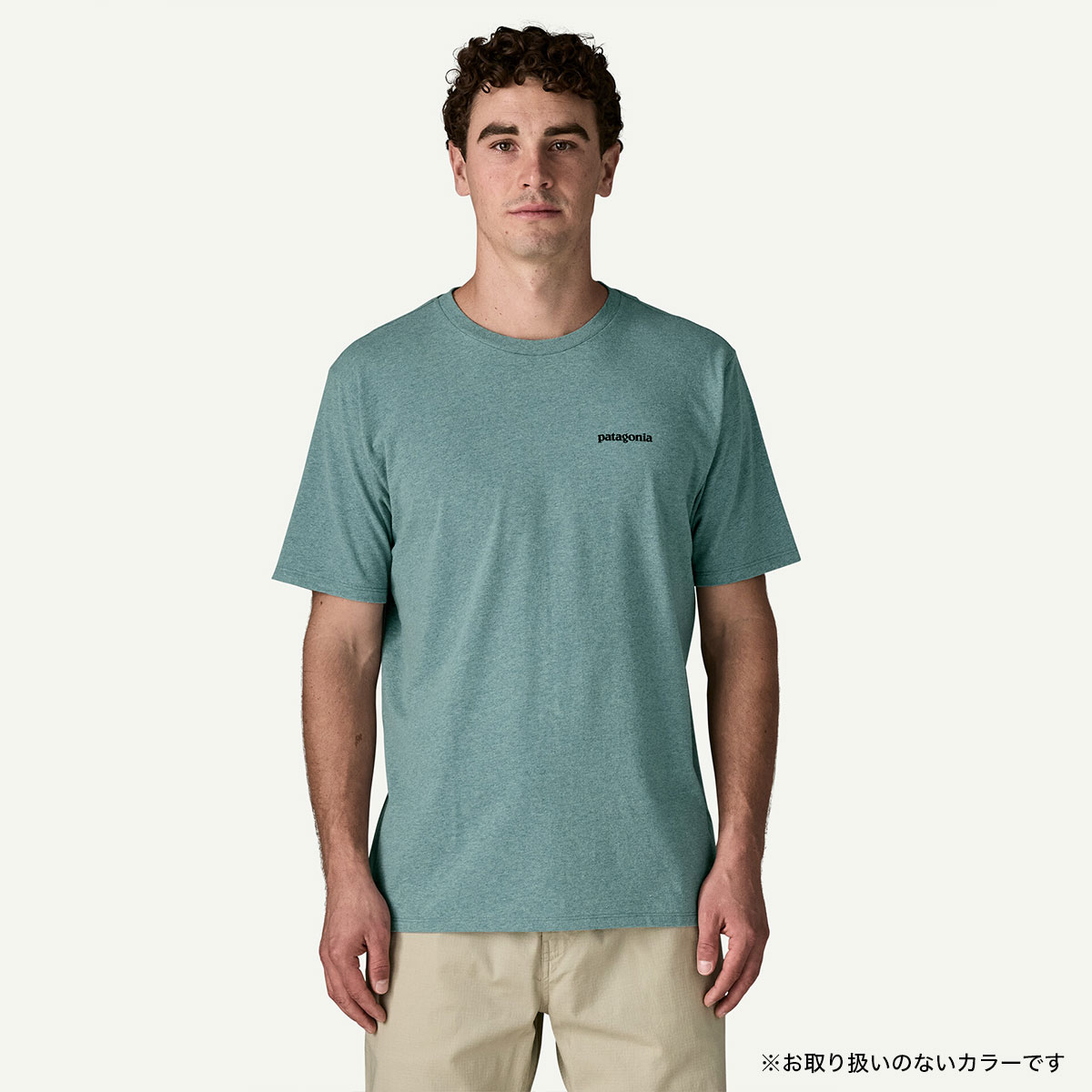 Patagonia  | Men's Take a Stand Responsibili-Tee��37591��