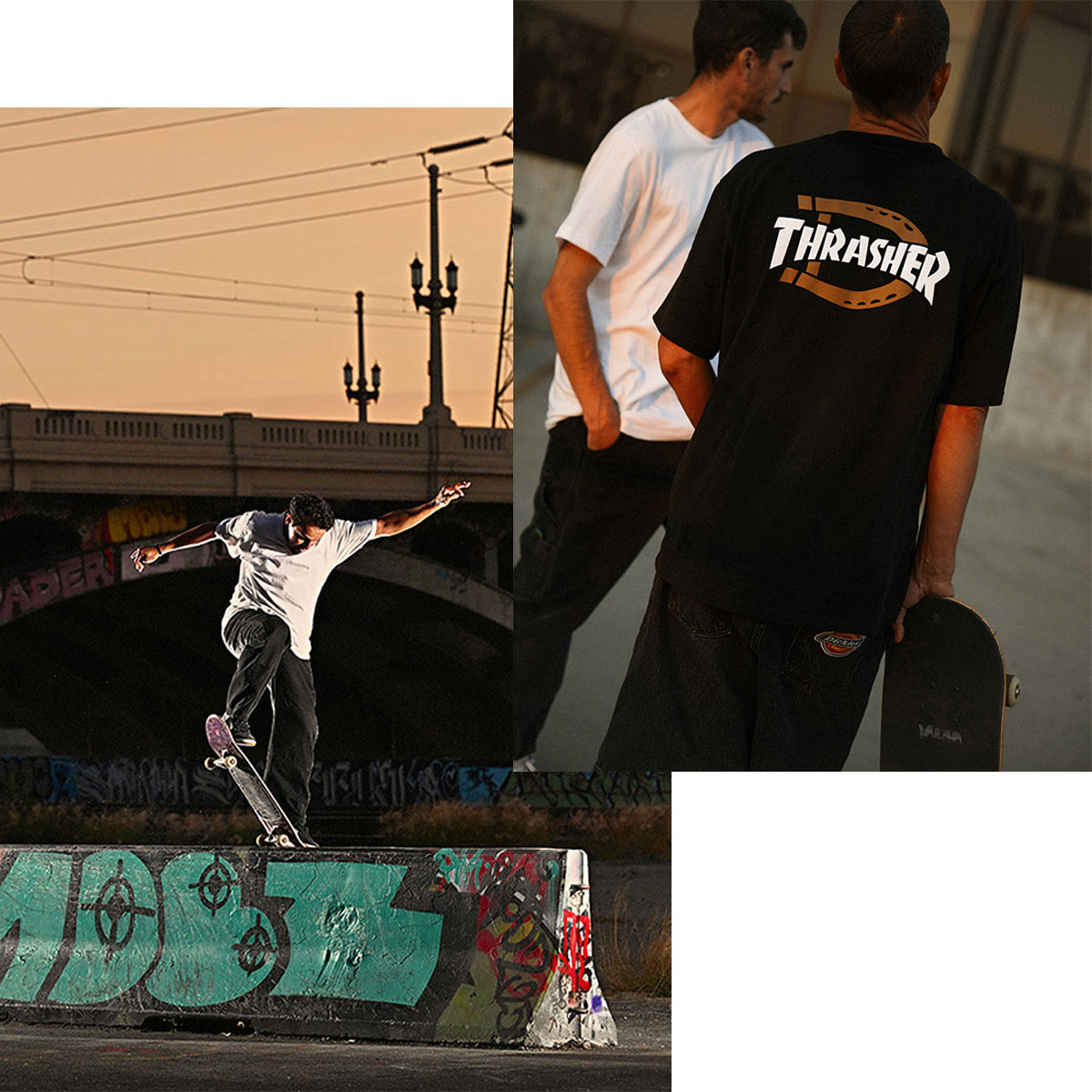 �ڥ��ꥢ��󥹥������DICKIES �ǥ��å�����  �������ȥܡ��ǥ��� ���åץѡ����� ��� ����å��㡼 ����� ���������� �͵��֥��� | Dickies x Thrasher Zip Hddie��DK0A87J��