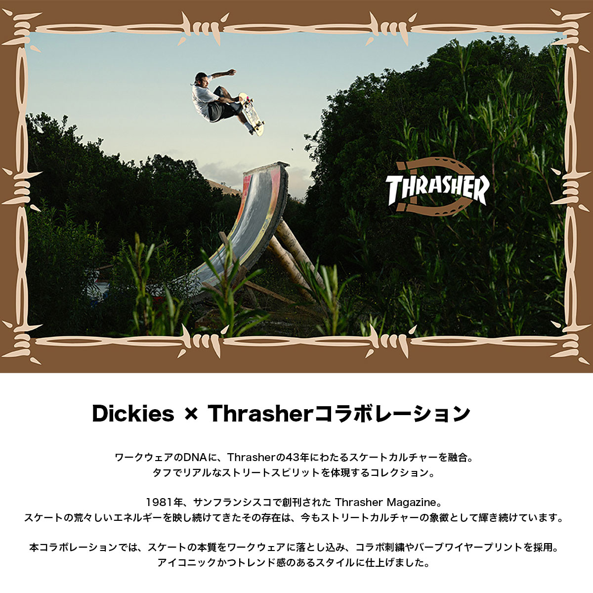 DICKIES �ǥ��å�����  �������ȥܡ��ǥ��� �ӡ��ˡ� �˥å�˹ ˹�� ����å��㡼 ����� ���������� �͵��֥��� | Dickies x Thrasher Beanie��DK0A88KV��