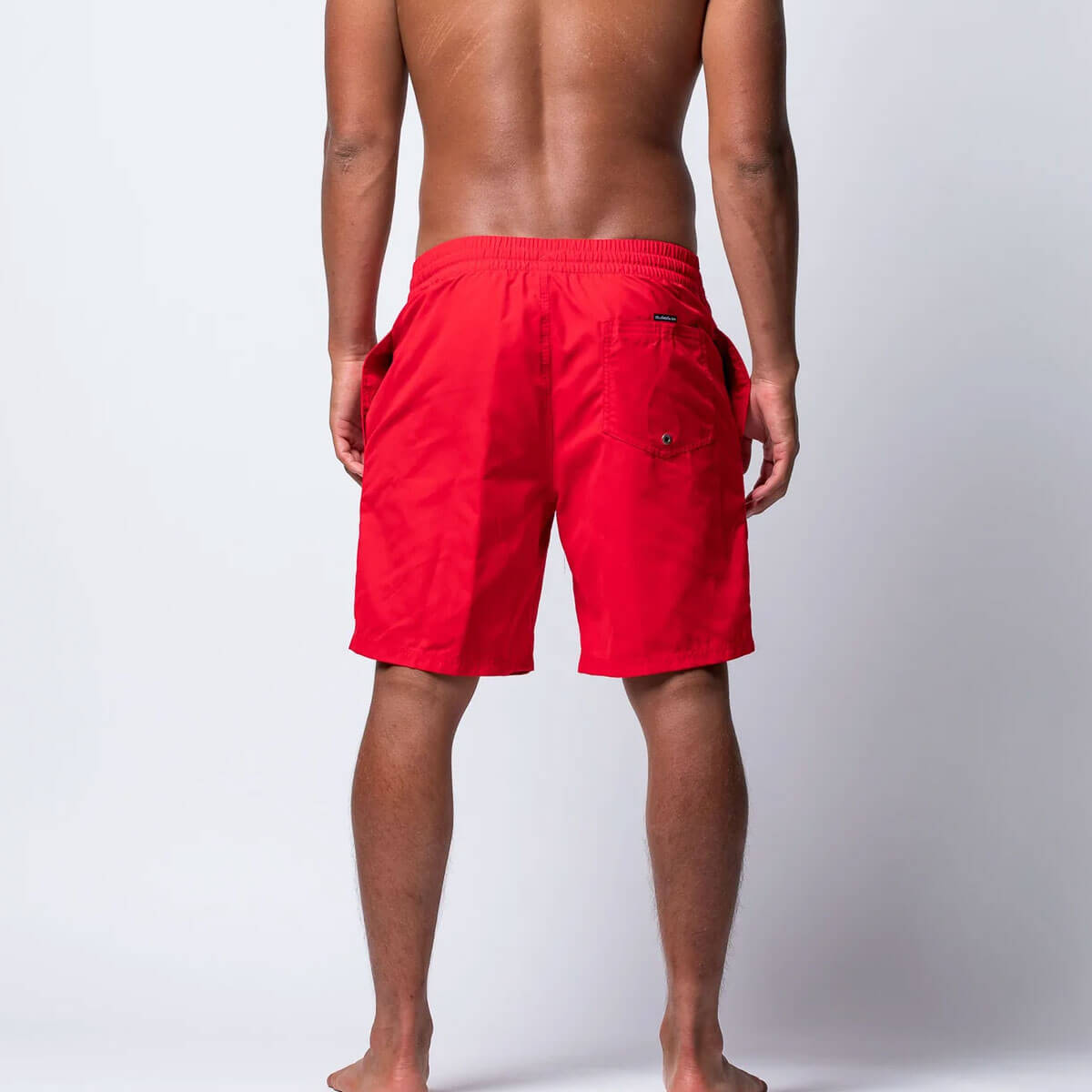 QUIKSILVER | SURFSILK SCALLOP 18��EQYJV04137��