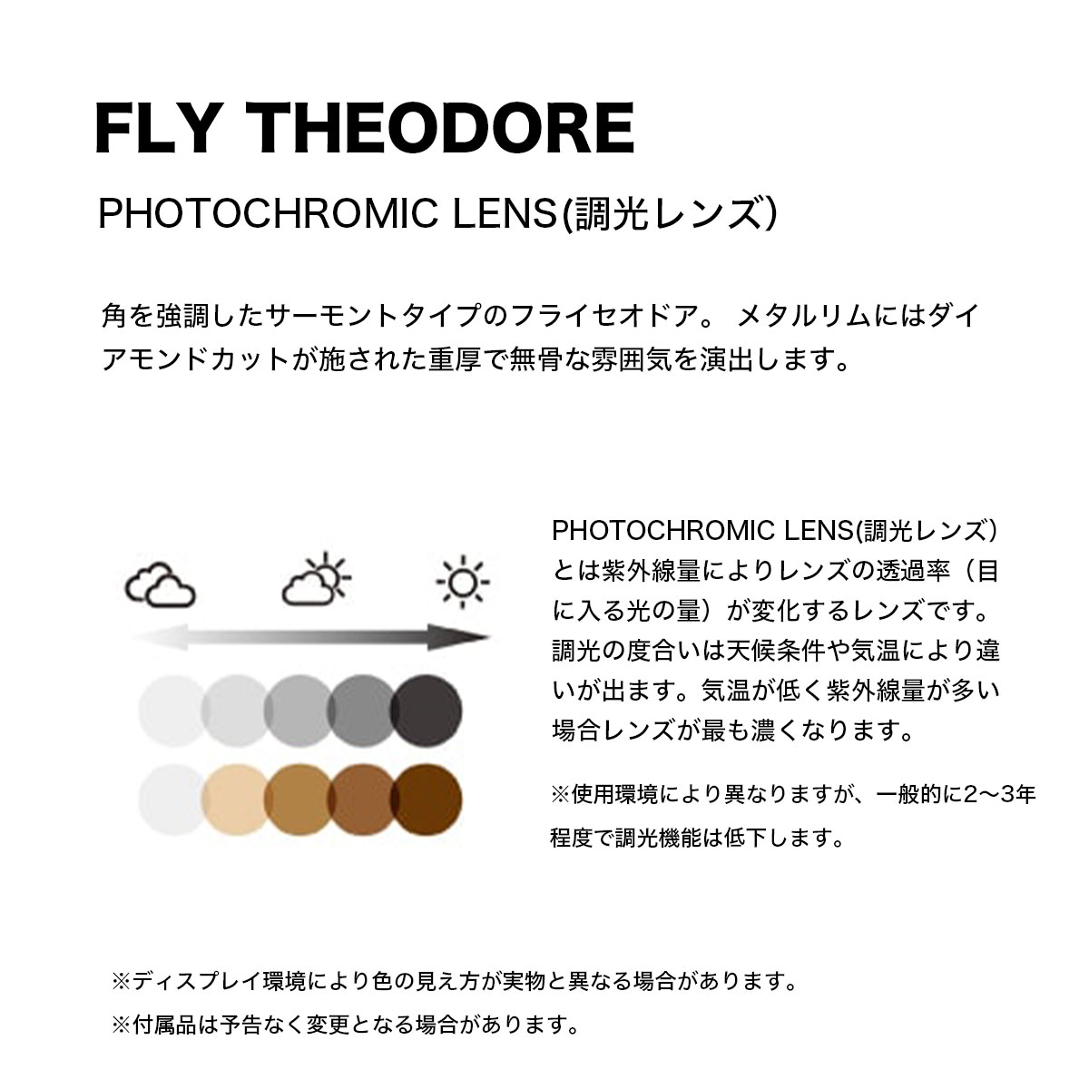 BLACK FLYS | FLY THEODORE(Ĵ��)��BF-1704��