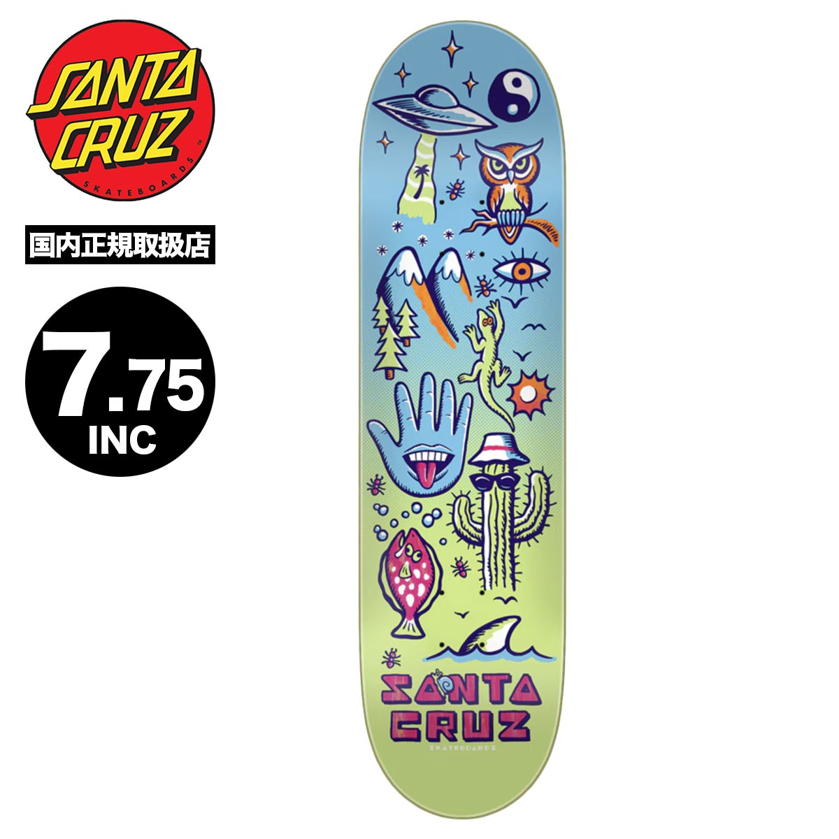 ���󥿥��롼�� �������ȥܡ��� �ǥå� �����ܡ� ���� 7.75 inc �֥롼 ���å� �Ҷ� �������ȥǥå� �͵� �֥��� SANTA CRUZ  | FEELBASE TRIPPER DECK��11117465-161412��