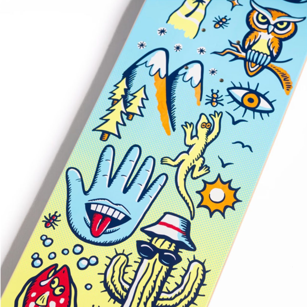 ���󥿥��롼�� �������ȥܡ��� �ǥå� �����ܡ� ���� 7.75 inc �֥롼 ���å� �Ҷ� �������ȥǥå� �͵� �֥��� SANTA CRUZ  | FEELBASE TRIPPER DECK��11117465-161412��