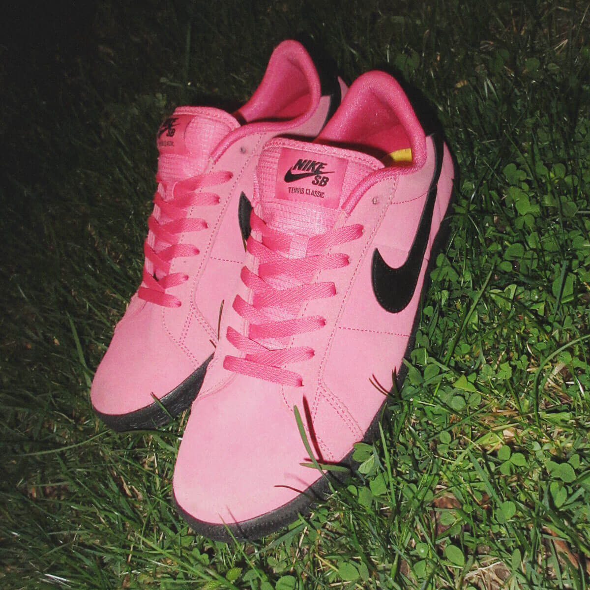NIKE SB | ZOOM TENNIS CLASSIC ��WCP�� ��IQ8394-600��(JACK����������)