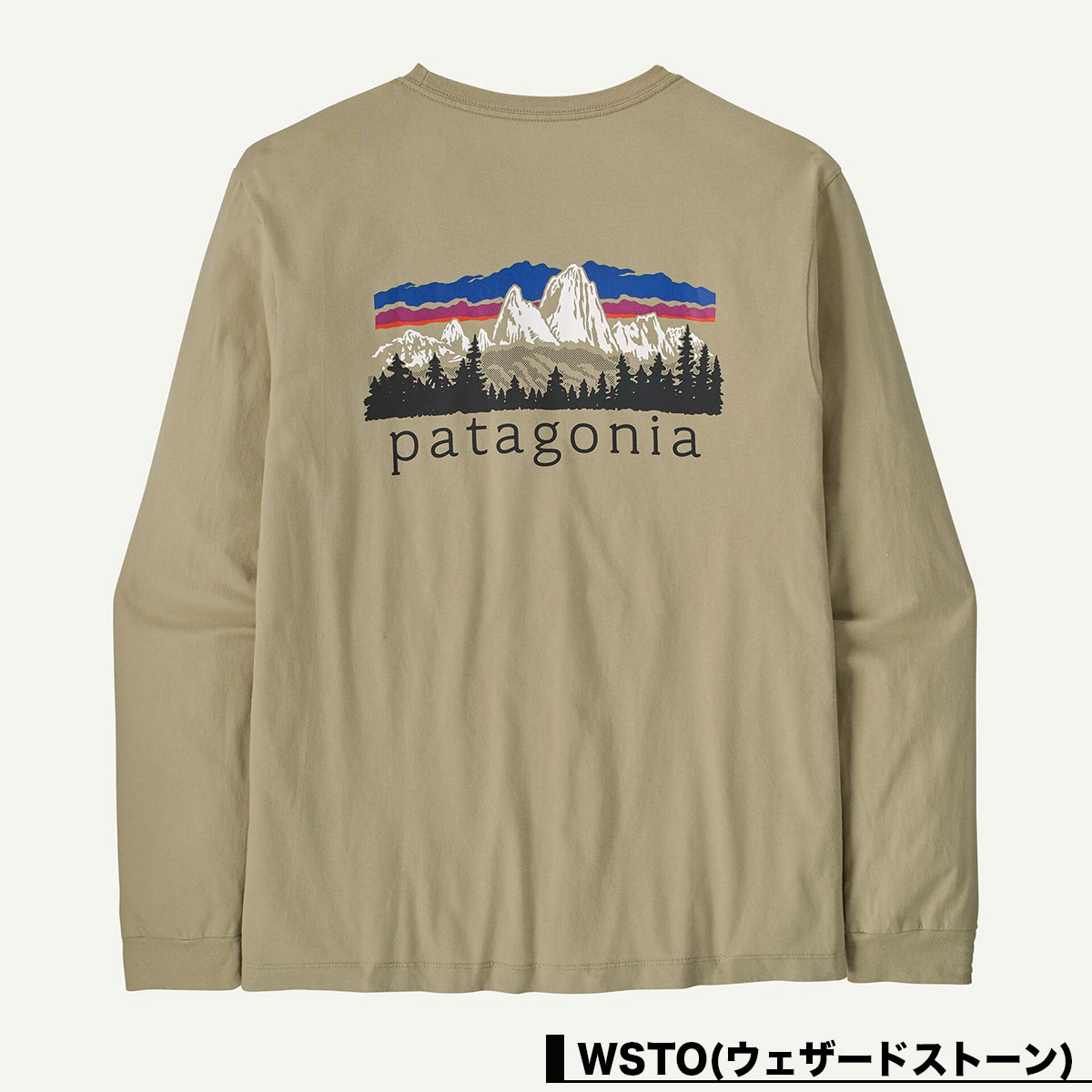 Patagonia  | Men's Long-Sleeved Fitz Roy Foothills T-Shirt��37893��