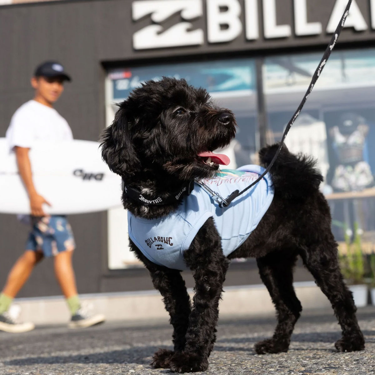BILLABONG |  POSTER ART DOG TANK��BG013981D��