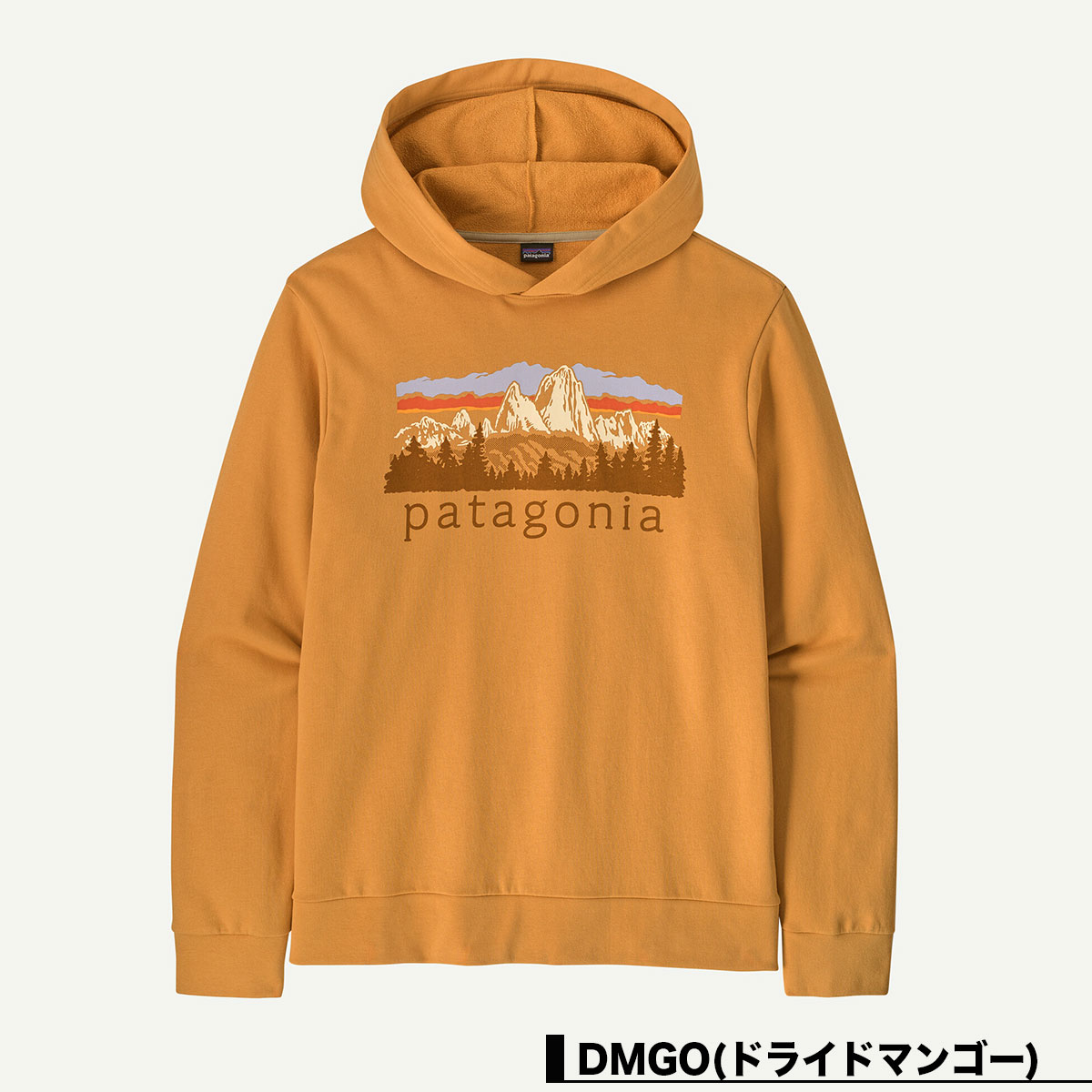 Patagonia  | Men's Fitz Roy Foothills Daily Hoody��39735��