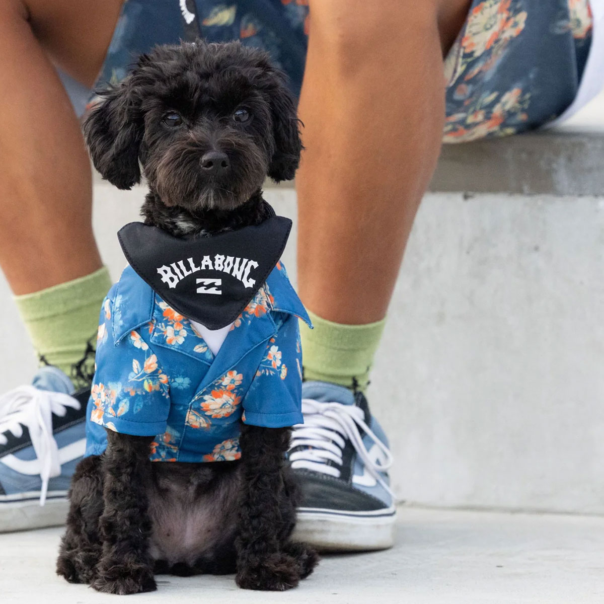  BILLABONG |  ALOHA DOG SHIRT��BG013984D��