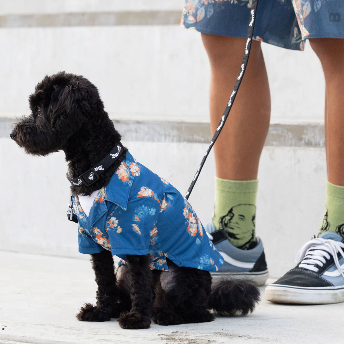 BILLABONG |  ALOHA DOG SHIRT��BG013984D��