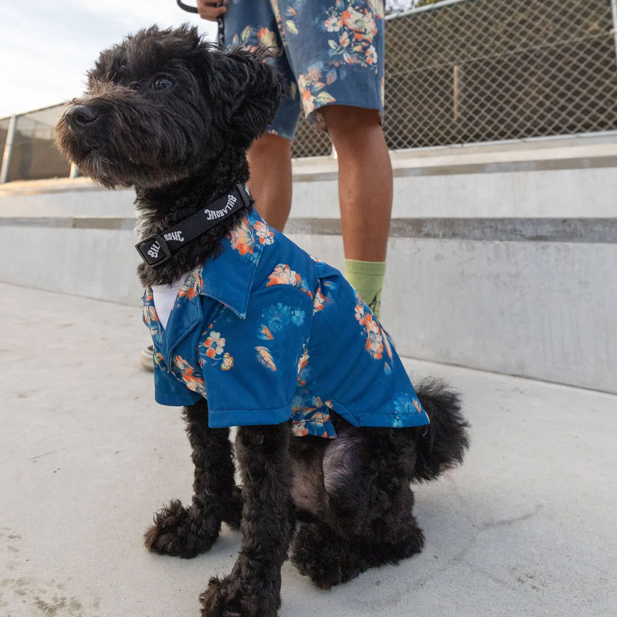 BILLABONG |  ALOHA DOG SHIRT��BG013984D��