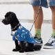  BILLABONG |  ALOHA DOG SHIRT��BG013984D��