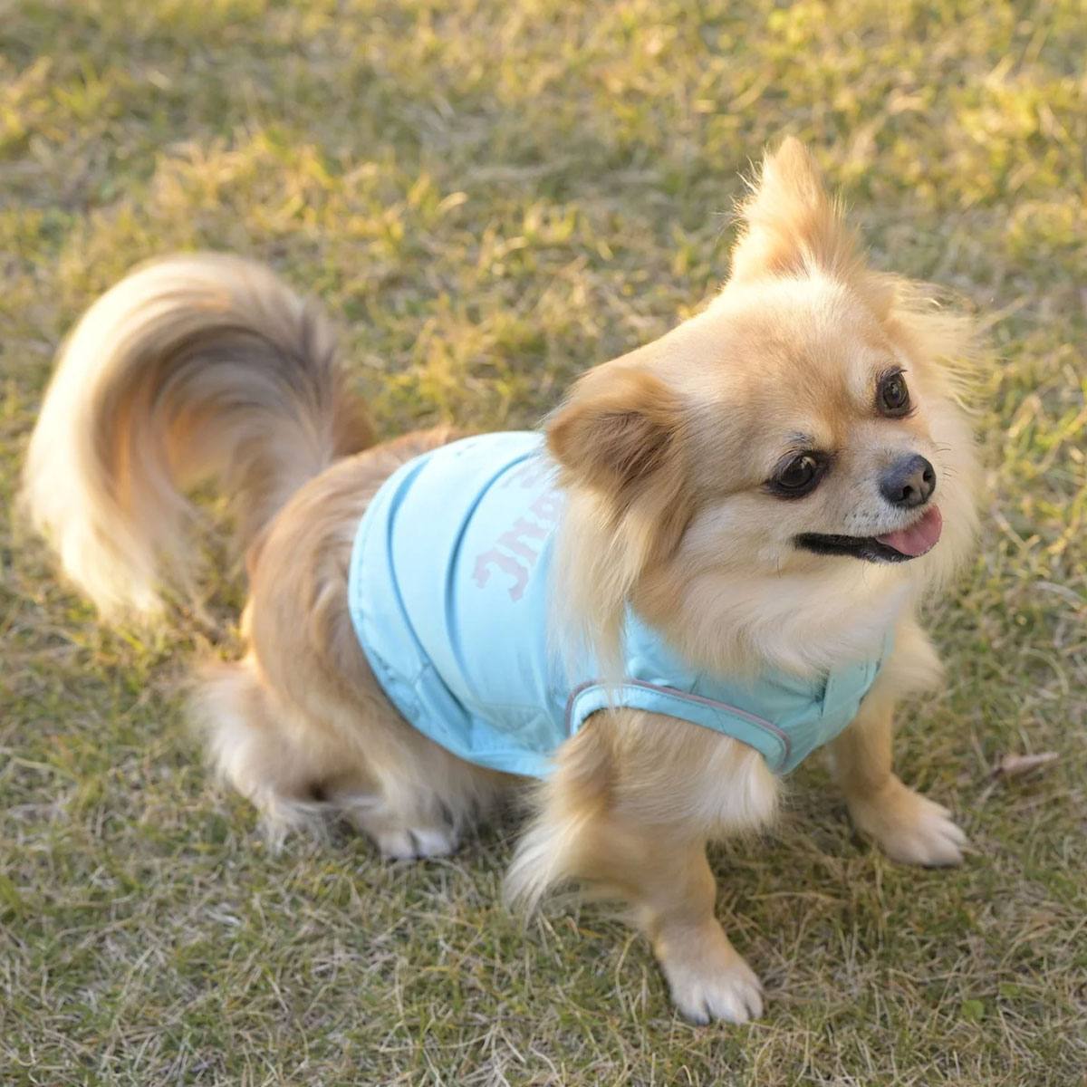 BILLABONG |  REFLECTIVE DOG RAINC��BG013985D��