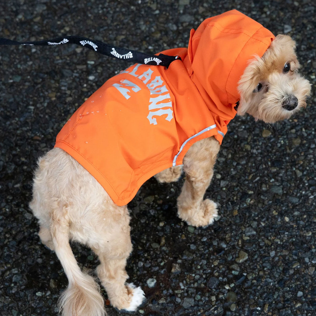 BILLABONG |  REFLECTIVE DOG RAINC��BG013985D��