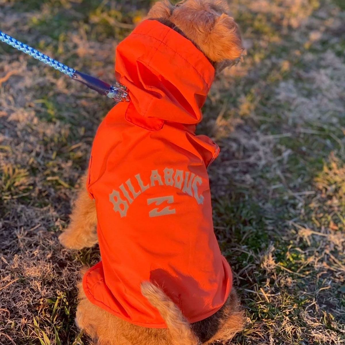 BILLABONG |  REFLECTIVE DOG RAINC��BG013985D��